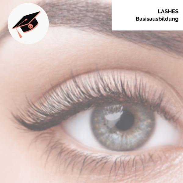 Lashes - Basisausbildung