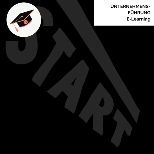 Unternehmensführung E-Learning