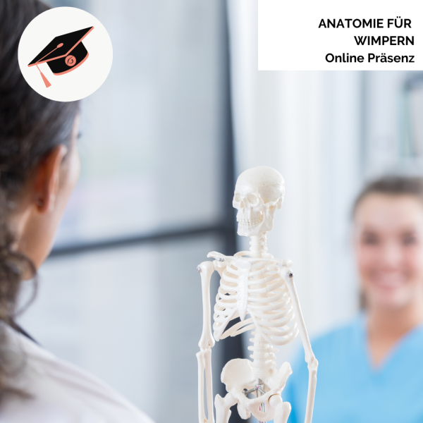 Gaube Anatomie für Wimpern Ausbildung (E-Learning)