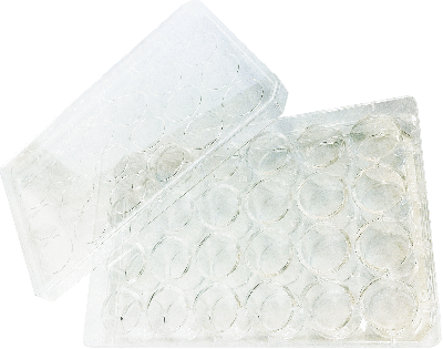 Magazin für Anmischtöpfchen