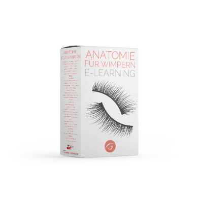 Gaube Anatomie für Wimpern Ausbildung (E-Learning)