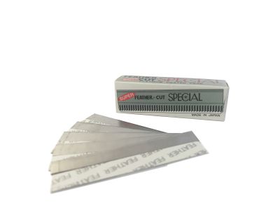 Shaver for Sketching Pen for perfect shape, 10 Pcs.