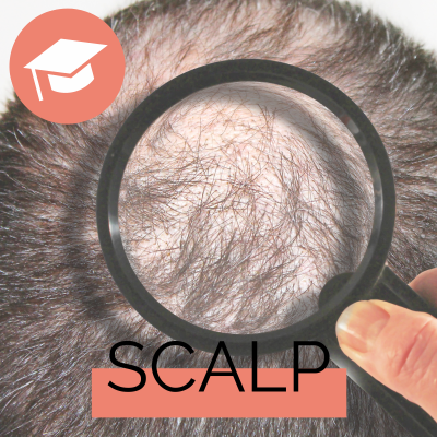 Scalp - Diplomausbildung