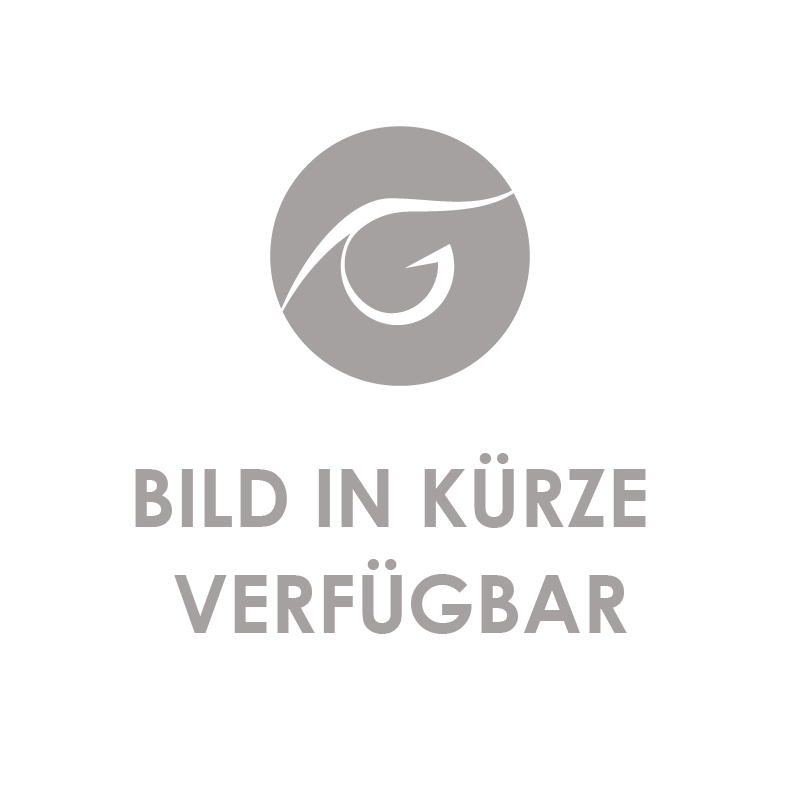 Microblading Koffer Gold (B:26, H:4,5, T:20)